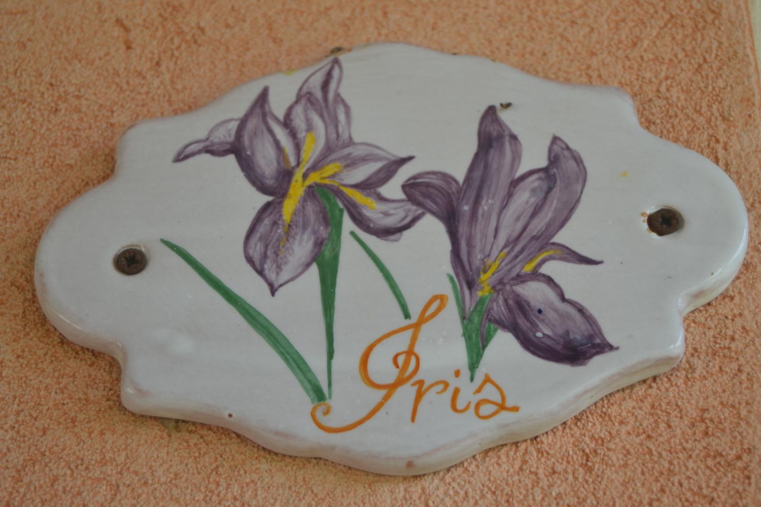 1-iris