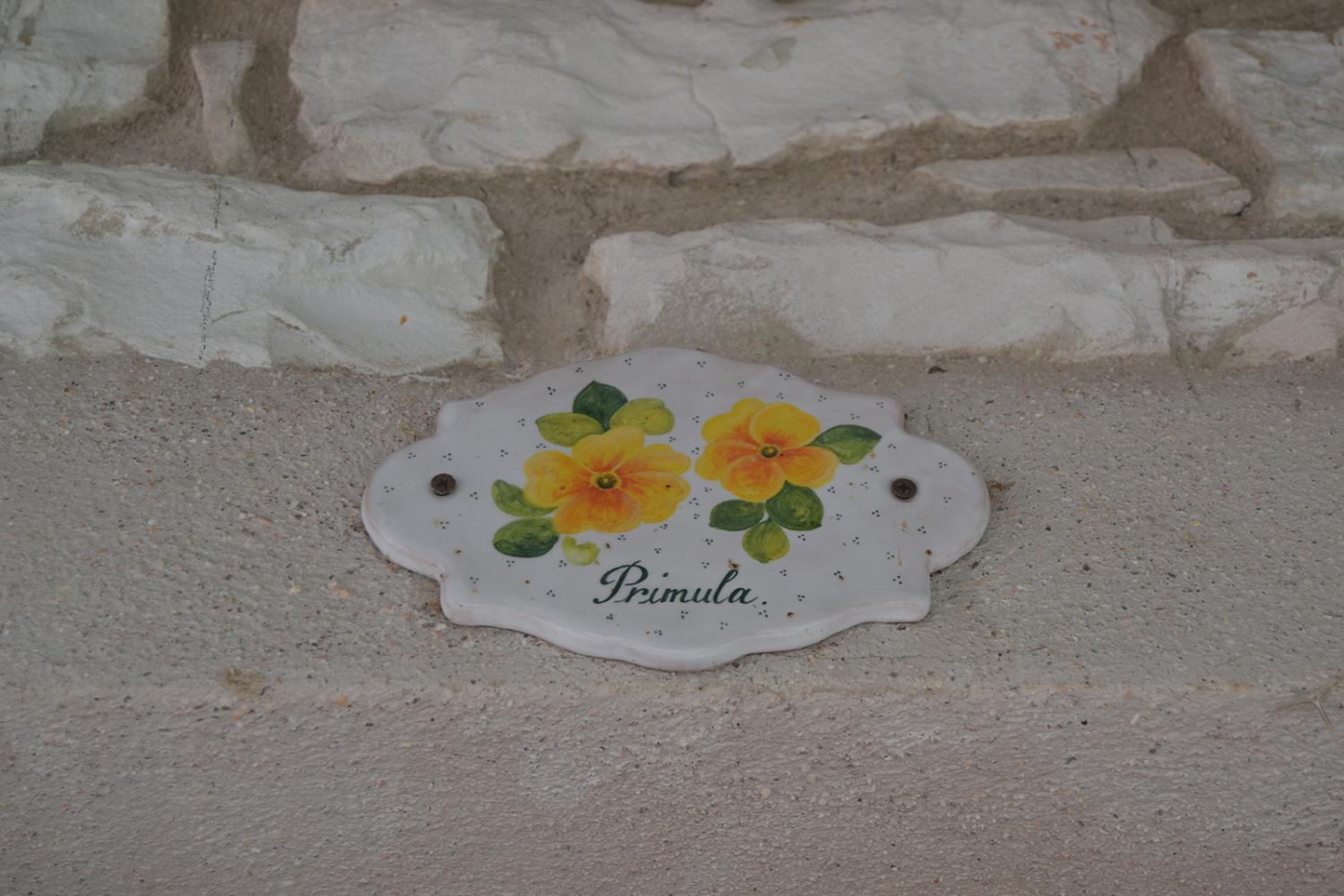 1-primula